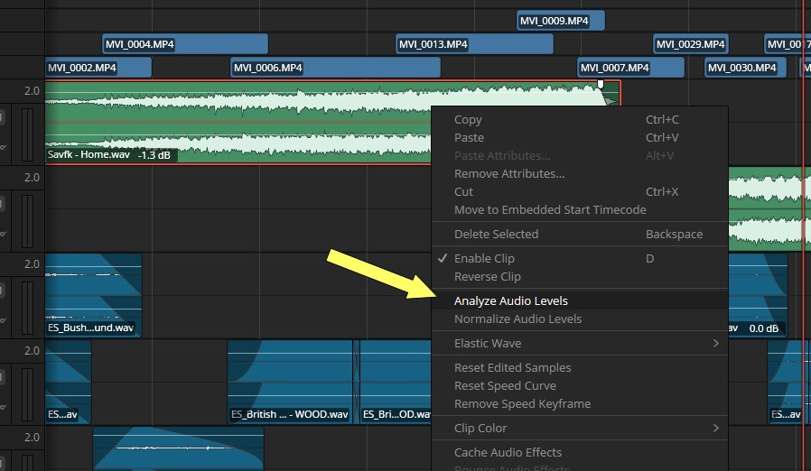 Analyze Audio Levels 1.jpg