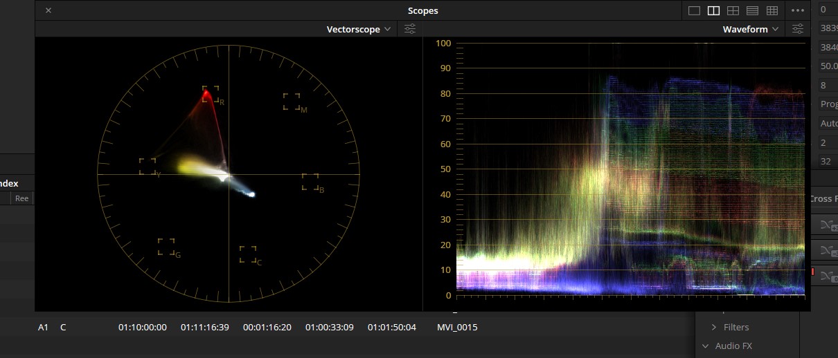 Scopes with Video Clip Selected.jpg