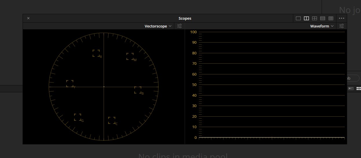 Scopes with No Video Clip Selected.jpg