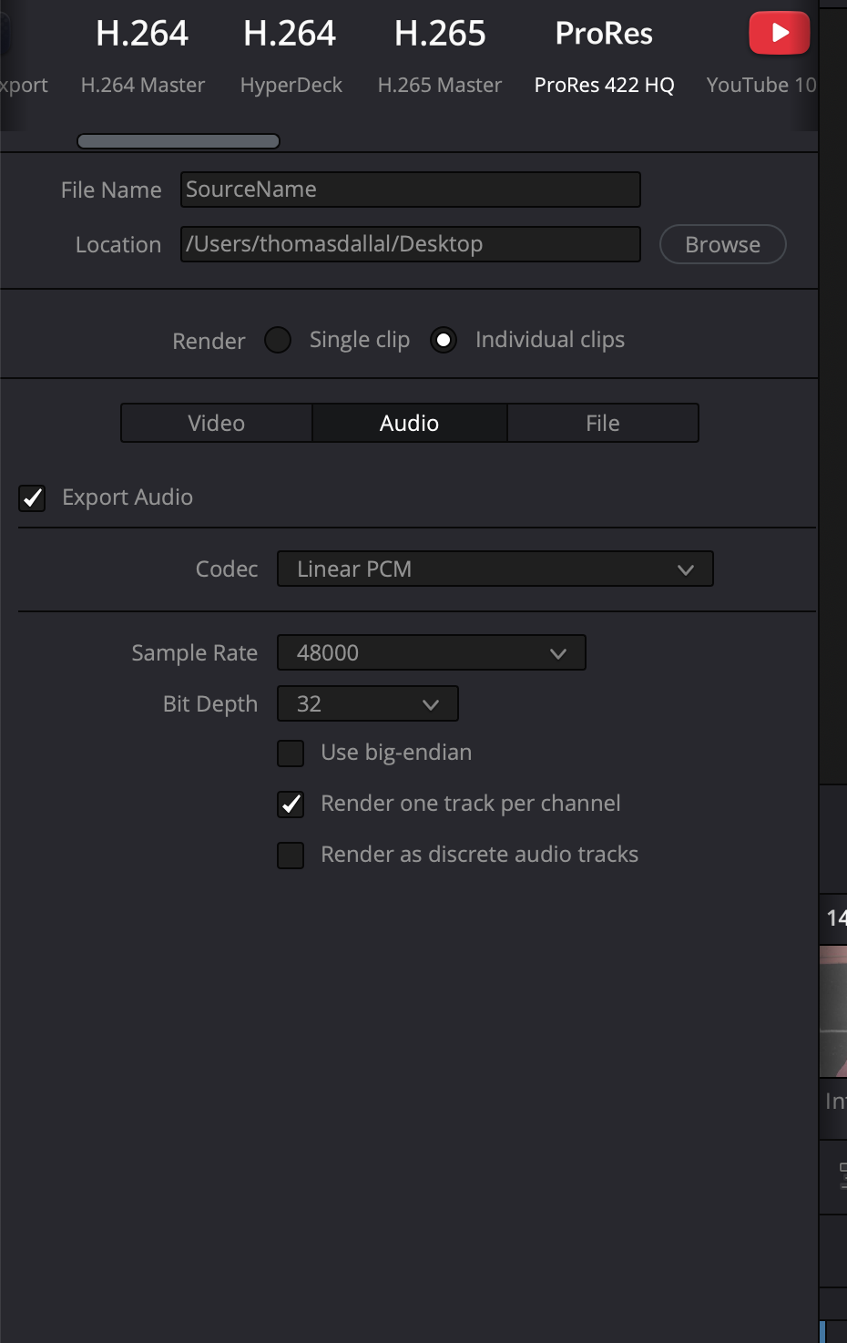 INDIVIDUAL CLIPS WITH render TL effects checked options.png