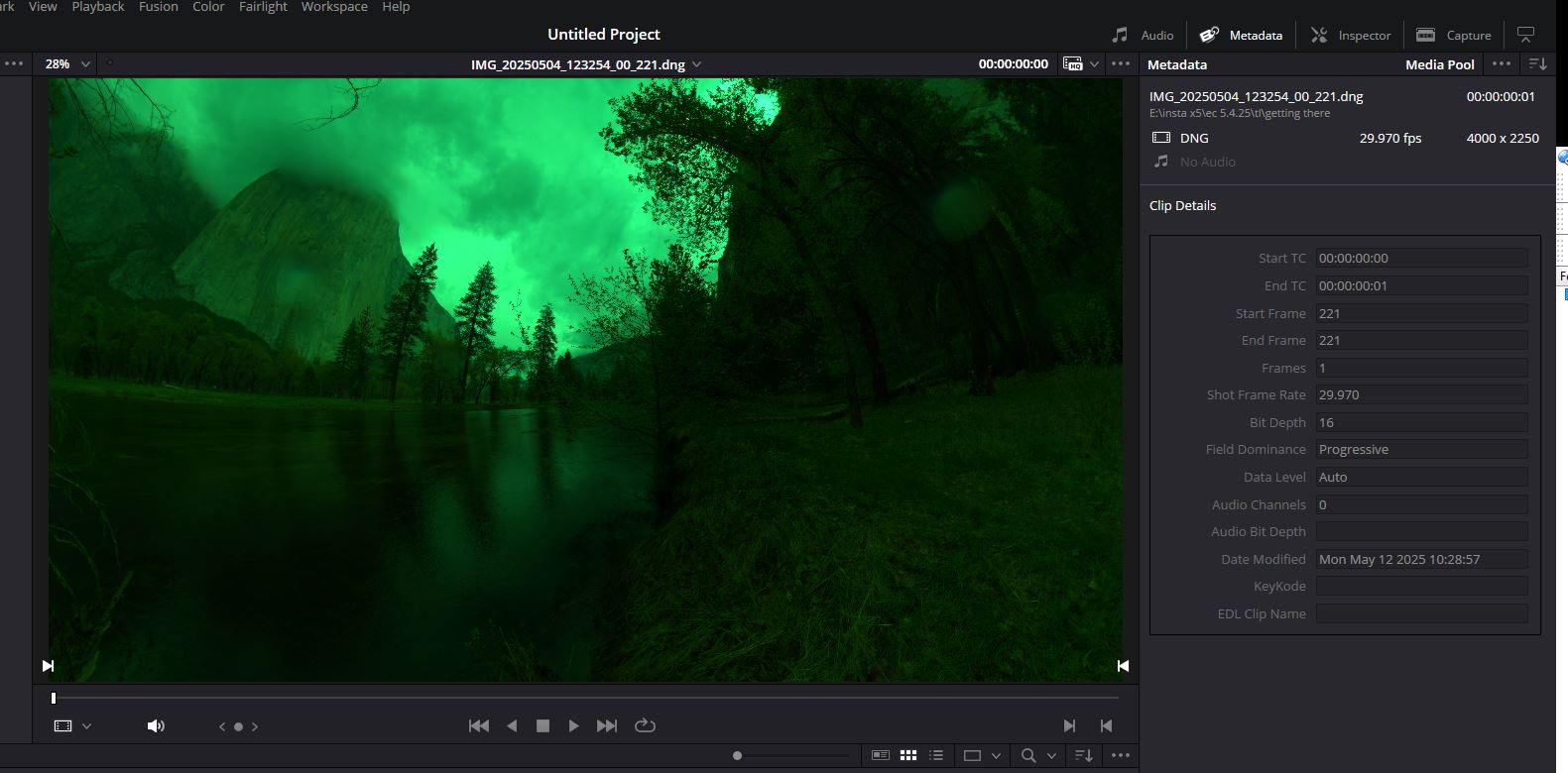 green.JPG