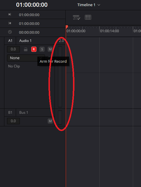 Video and Audio 3.png