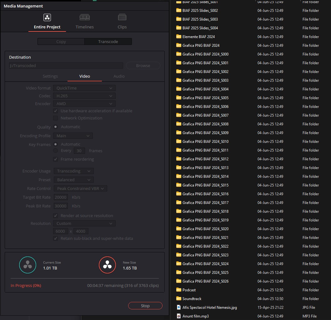 Screenshot 2025-06-04 125110.jpg