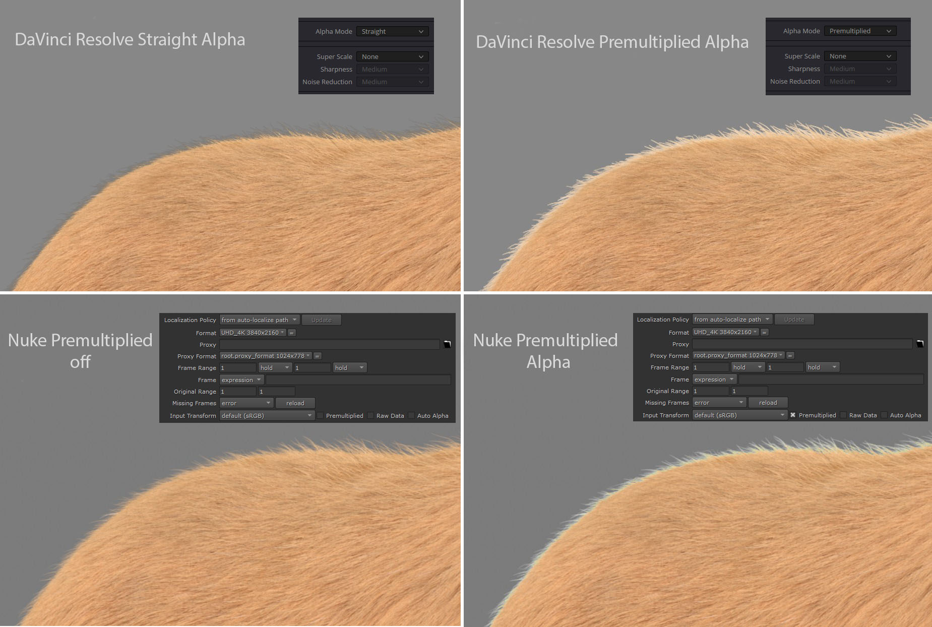 Davinci_Resolve_Question_01.jpg