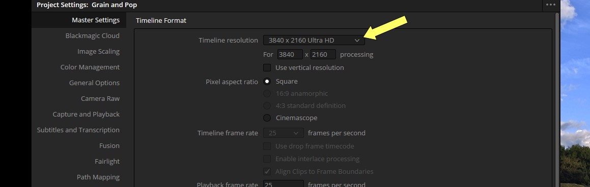 Timeline Resolution.jpg