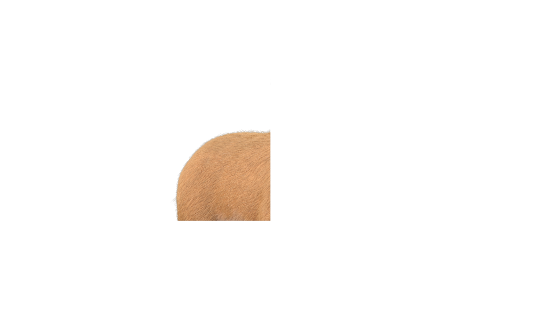sample_frame.png