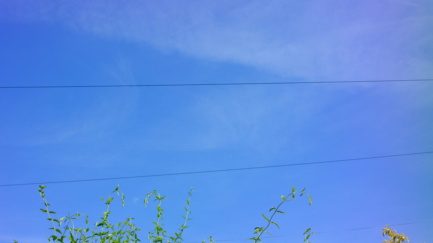pentax.jpg