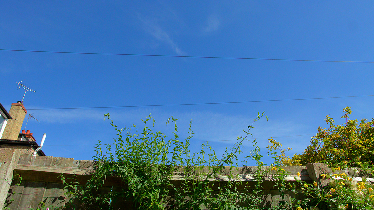 sigma18mm.jpg